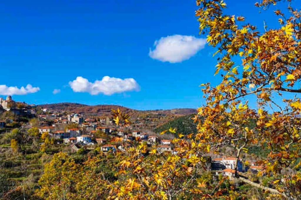 Agios Petros  1924 Studios 1 מראה חיצוני תמונה